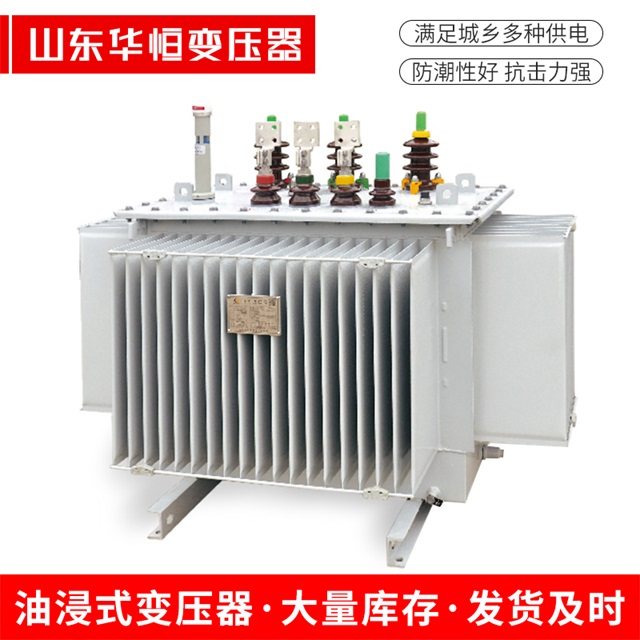 S13-10000/35肥乡肥乡肥乡电力变压器